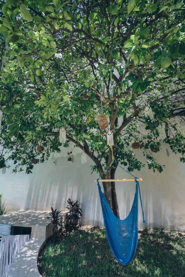 Villaboha ميريدا المظهر الخارجي الصورة